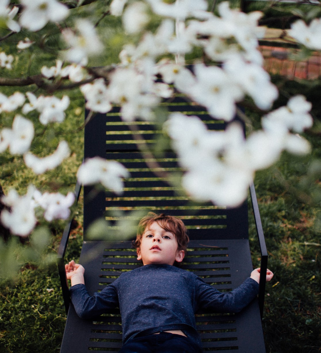 Boy lying on chair outdoors staring up at blossoming tree.