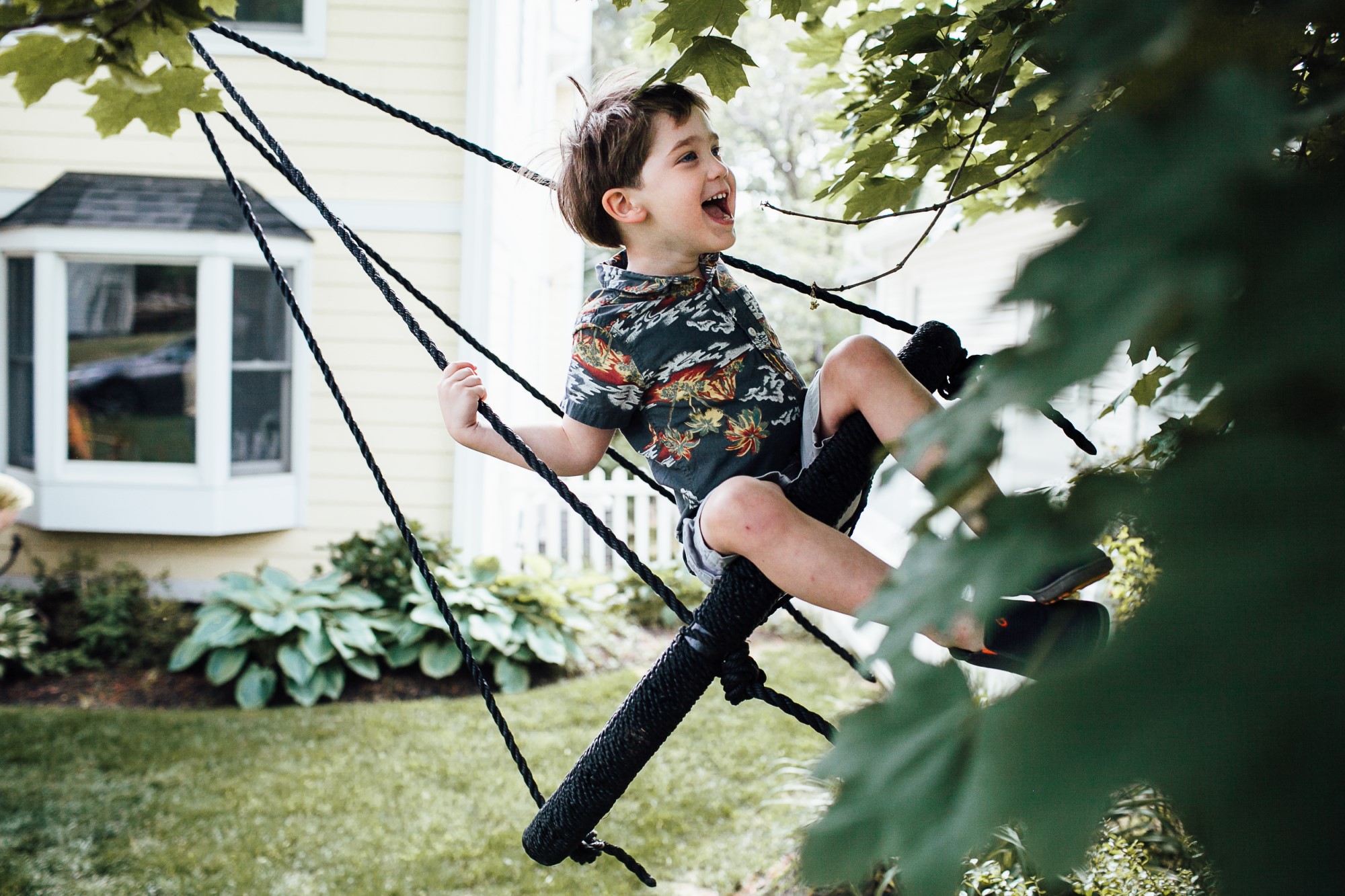 Small boy on swing in yard
