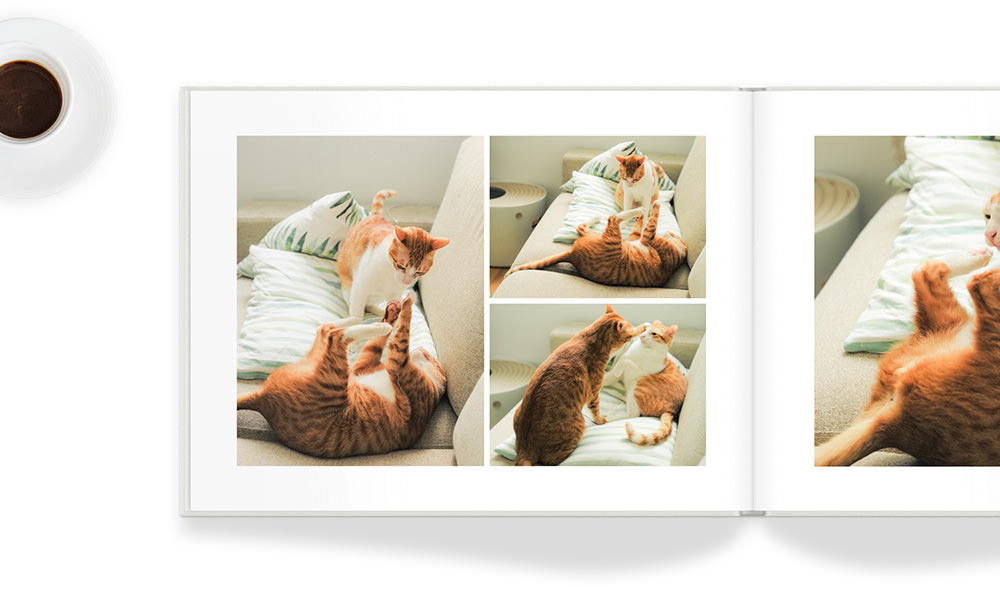 Cat Photo Book
