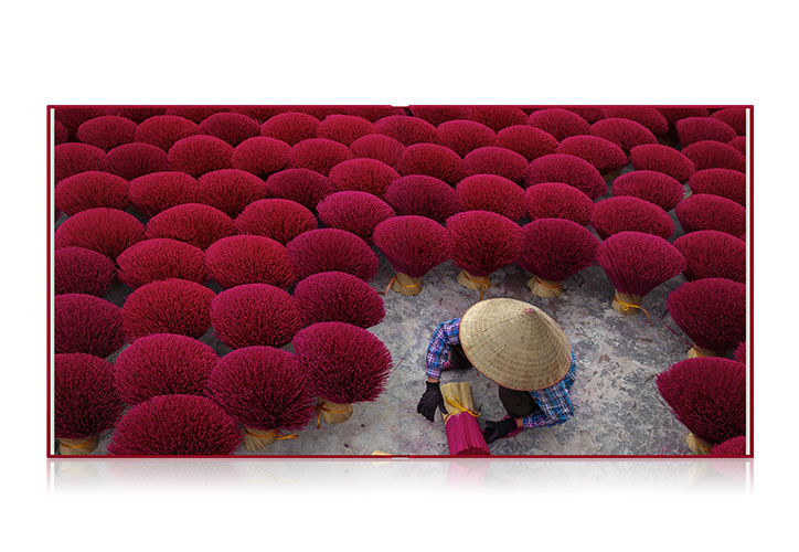 Open photo book showing photo of worker harvesting red incense sticks