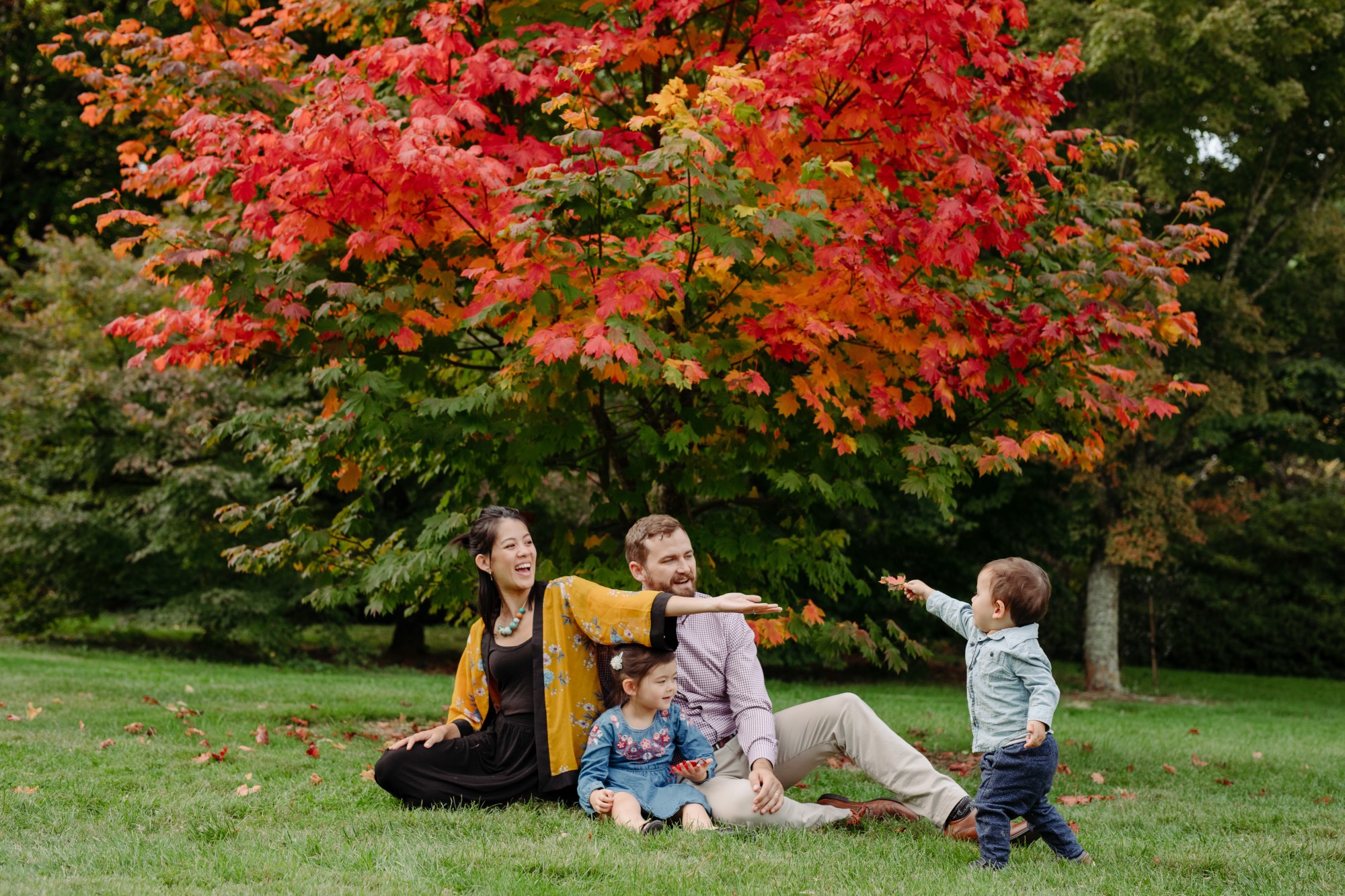 Family sitting under fall tree.