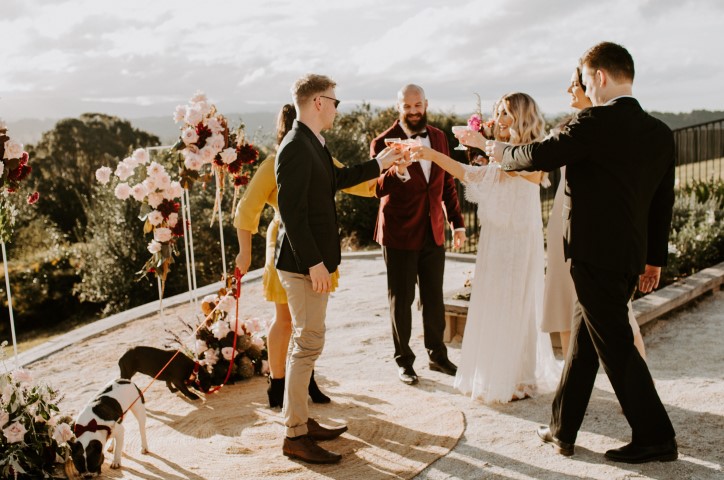 Newlywed couple toasting with their wedding guests
