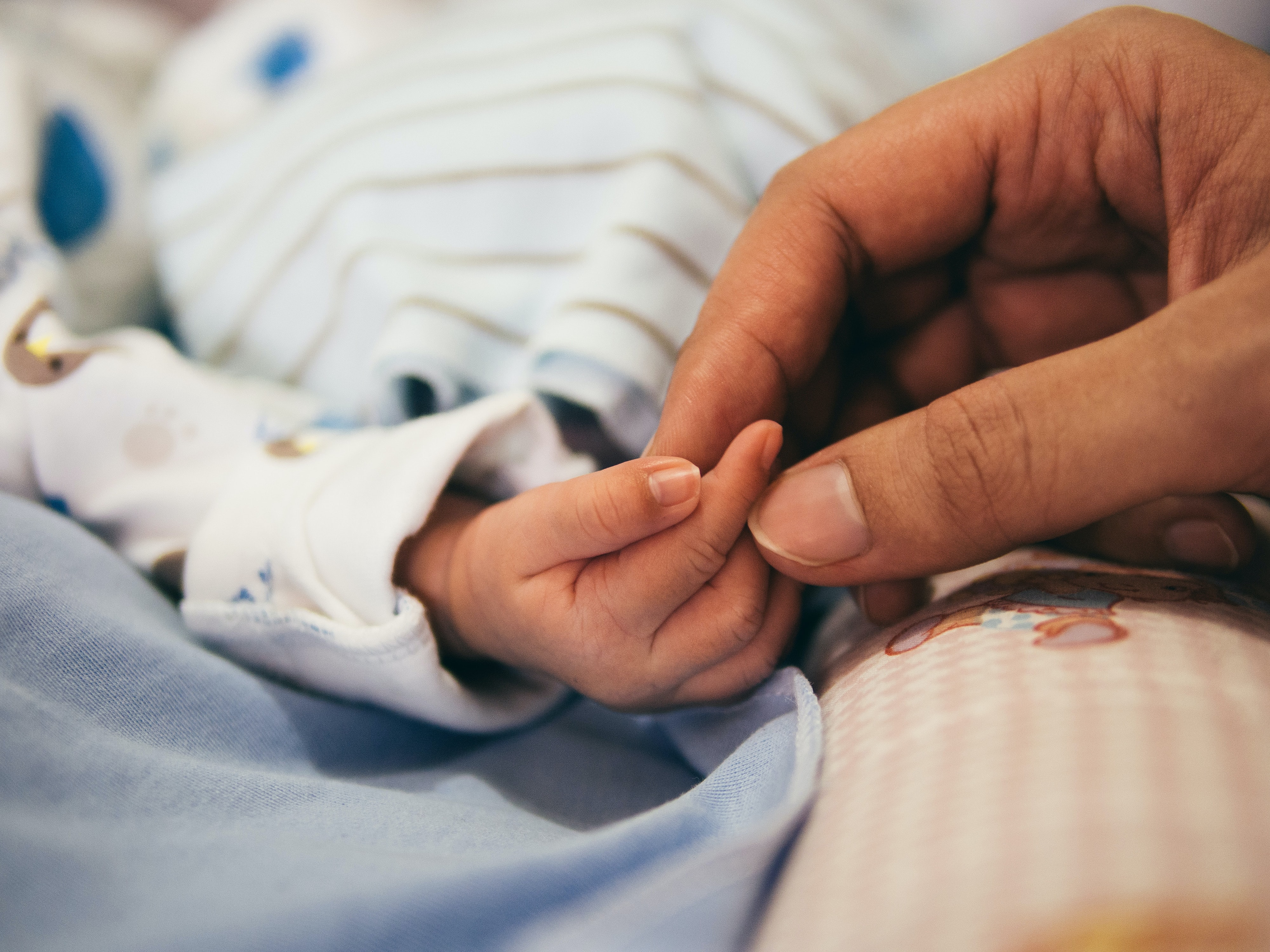 Nahaufnahme einer Babyhand in der eines Erwachsenens.