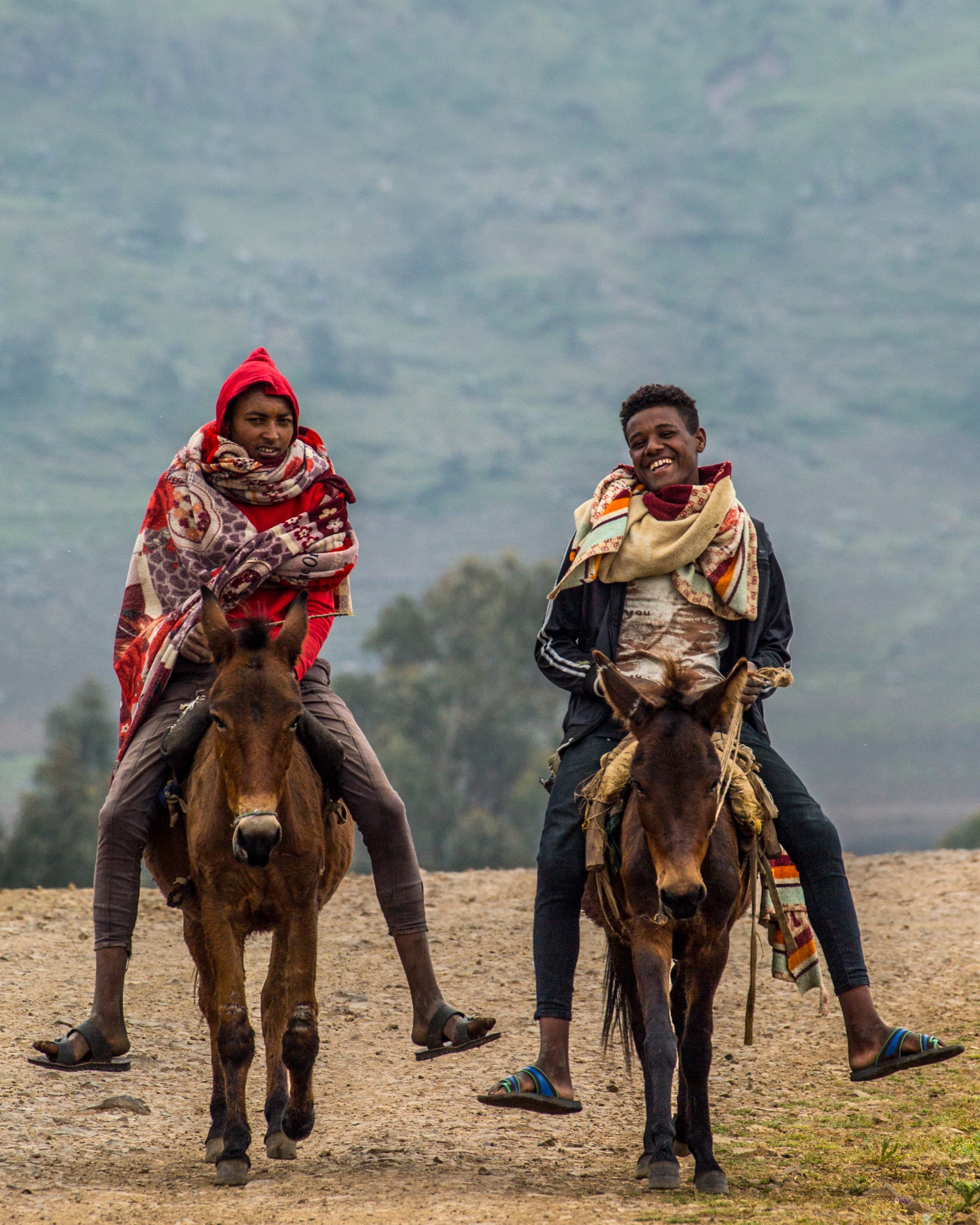 Two men riding mules