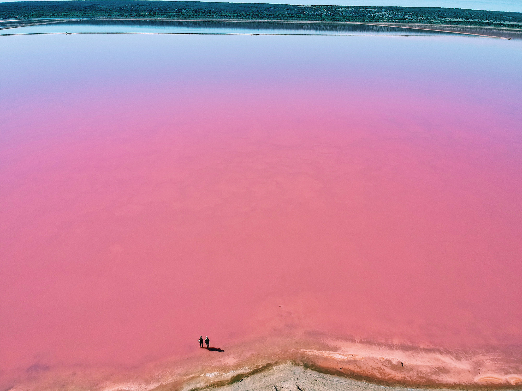 Pink lake