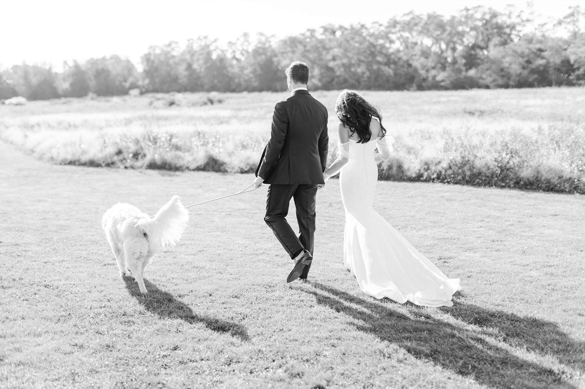 Newlyweds walking dog