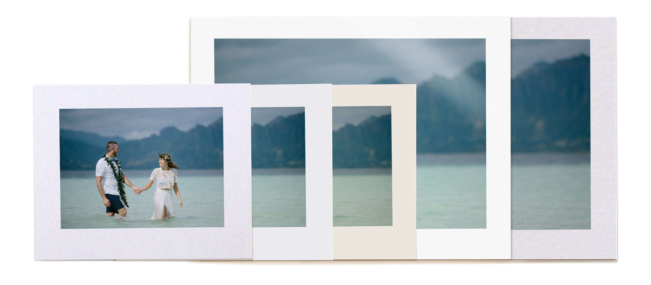 5 álbuns fotográficos MILK diferentes em diferentes formatos e tamanhos.