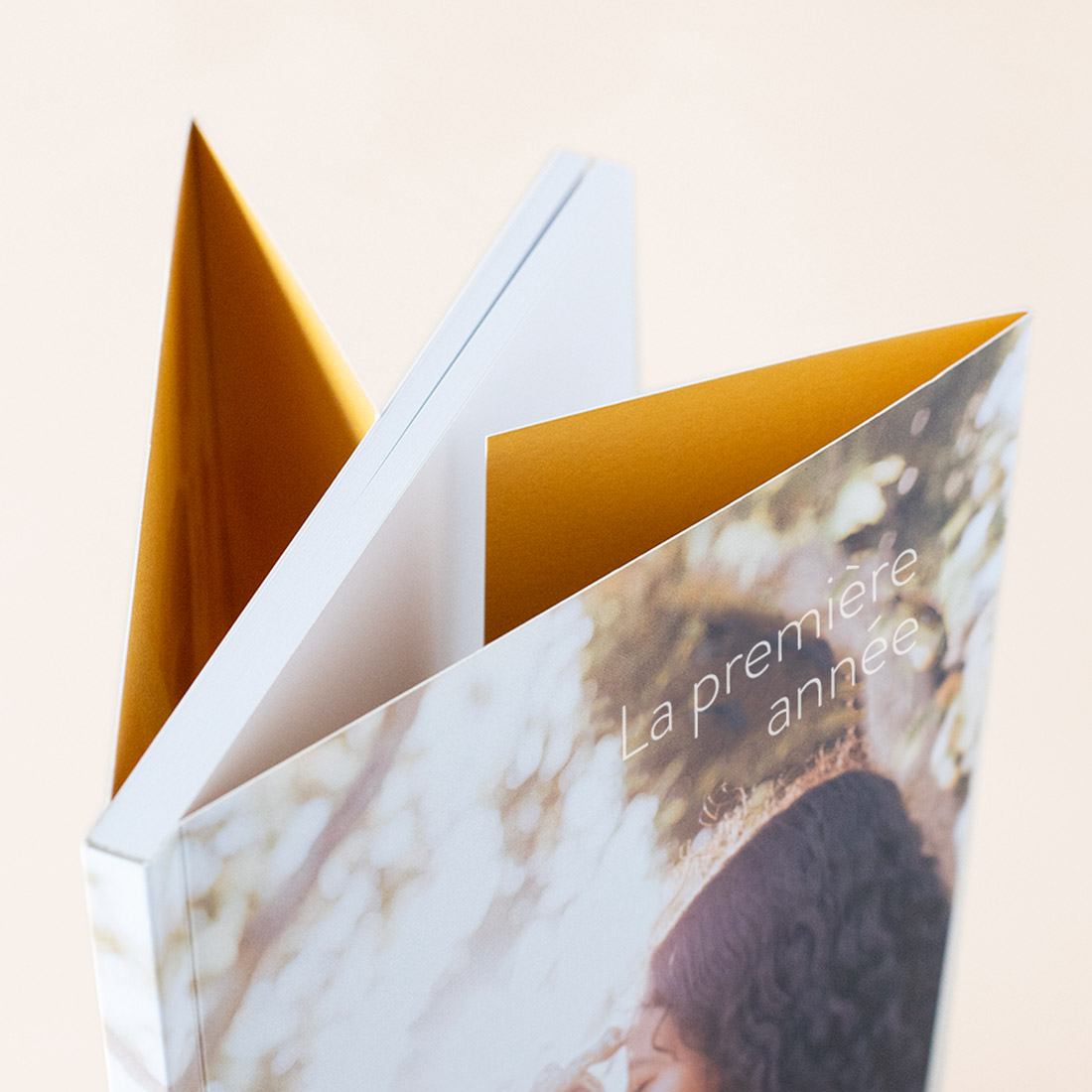 Livre à couverture souple à la verticale.