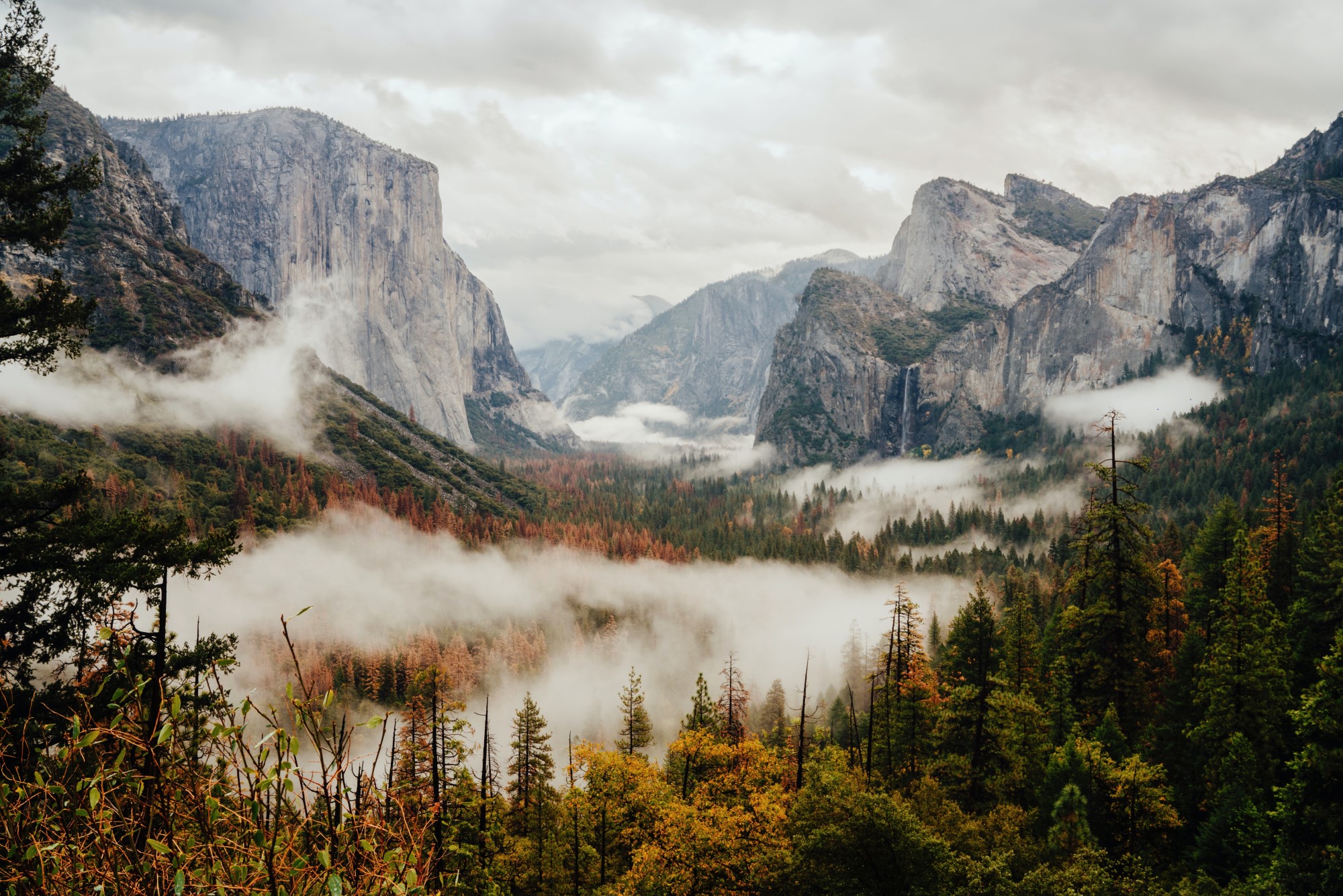 Mist in Yosemite
