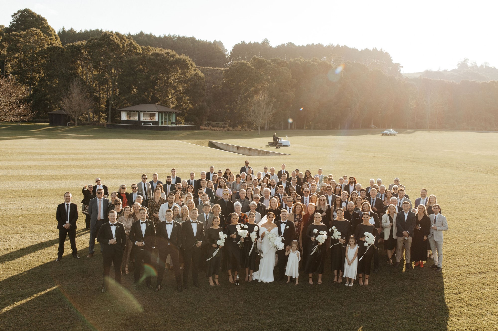 Drone shot capturing crowd of wedding guests posing for photo.