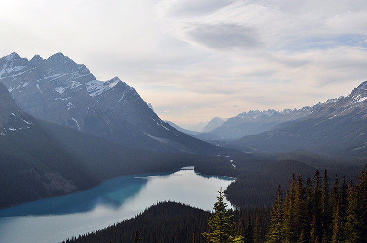/media/1546/landscapephotolikepro-cover.jpg