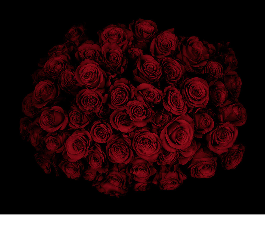 Roses I., 2009.
