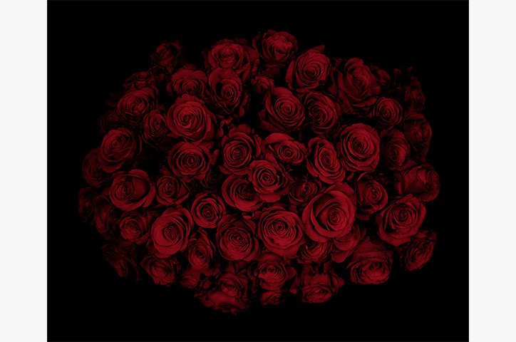 Roses I., 2009.