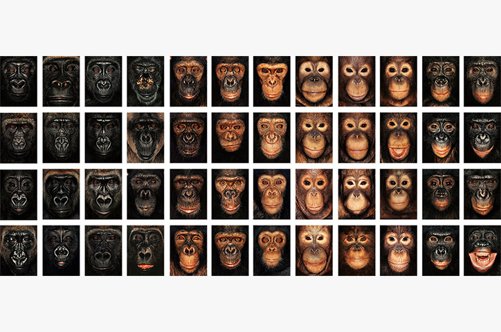 /media/2445/photowisdom-jamesmollison.jpg