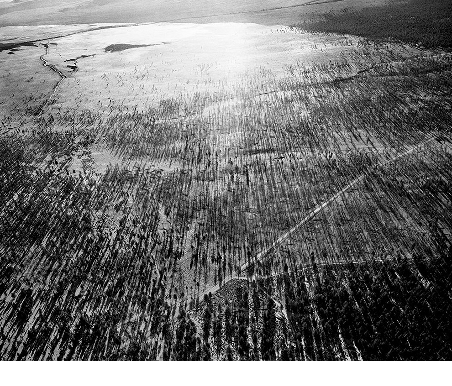 Burned Jeffrey Pine Forest and Tephra Flow Looking Southeast, Highway 120 at Right, Mono Basin, California.