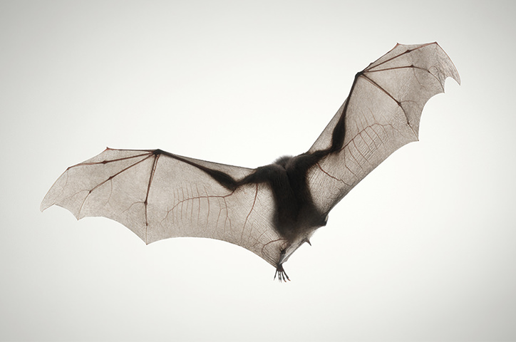/media/2520/photowisdom-timflach.jpg