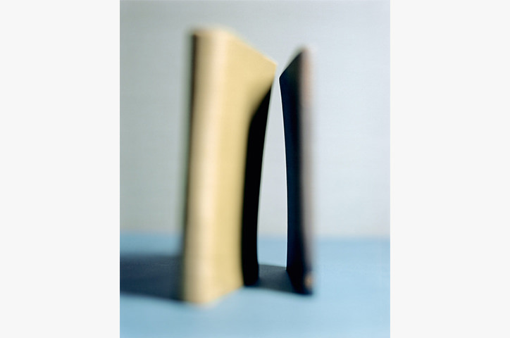 /media/2528/photowisdom-victorschrager.jpg