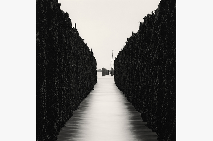 /media/2532/photowisdom-michaelkenna.jpg
