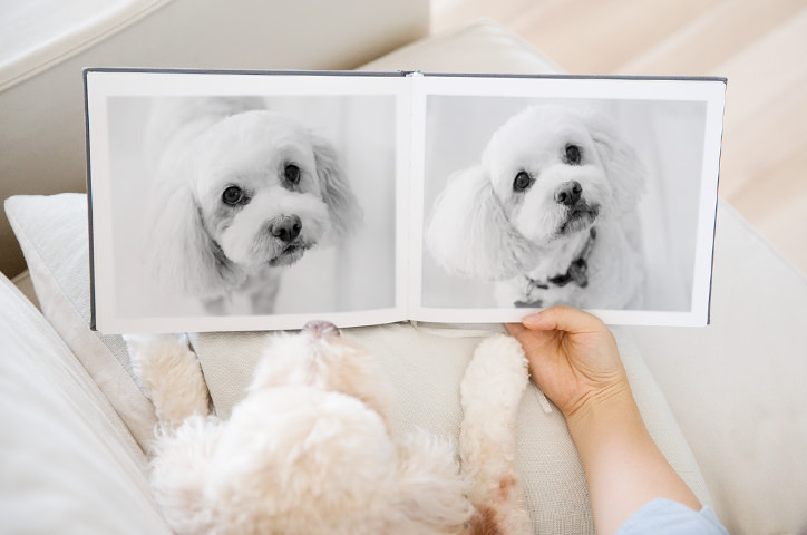 A person and their dog sat on a couch looking at a photo book with images of the dog.