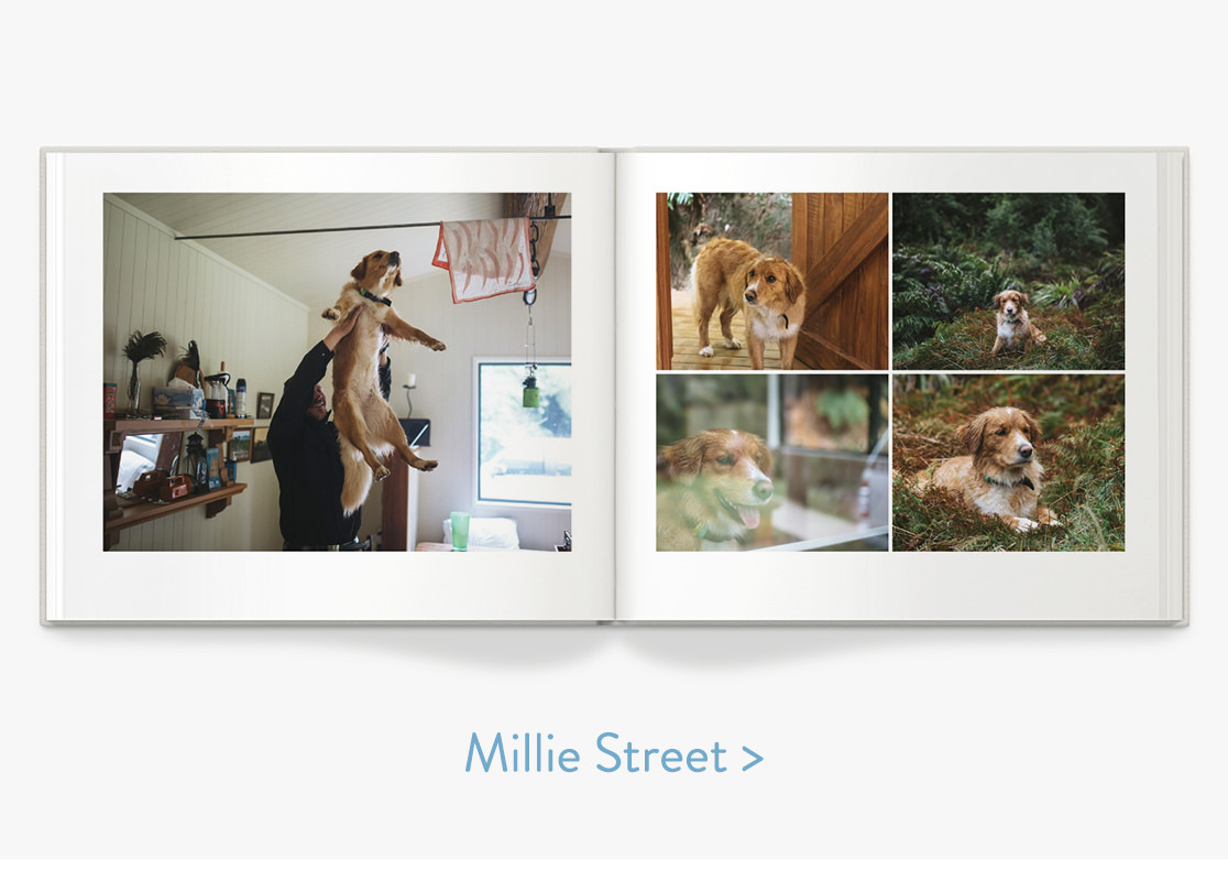 Photo book with images of a pet dog.