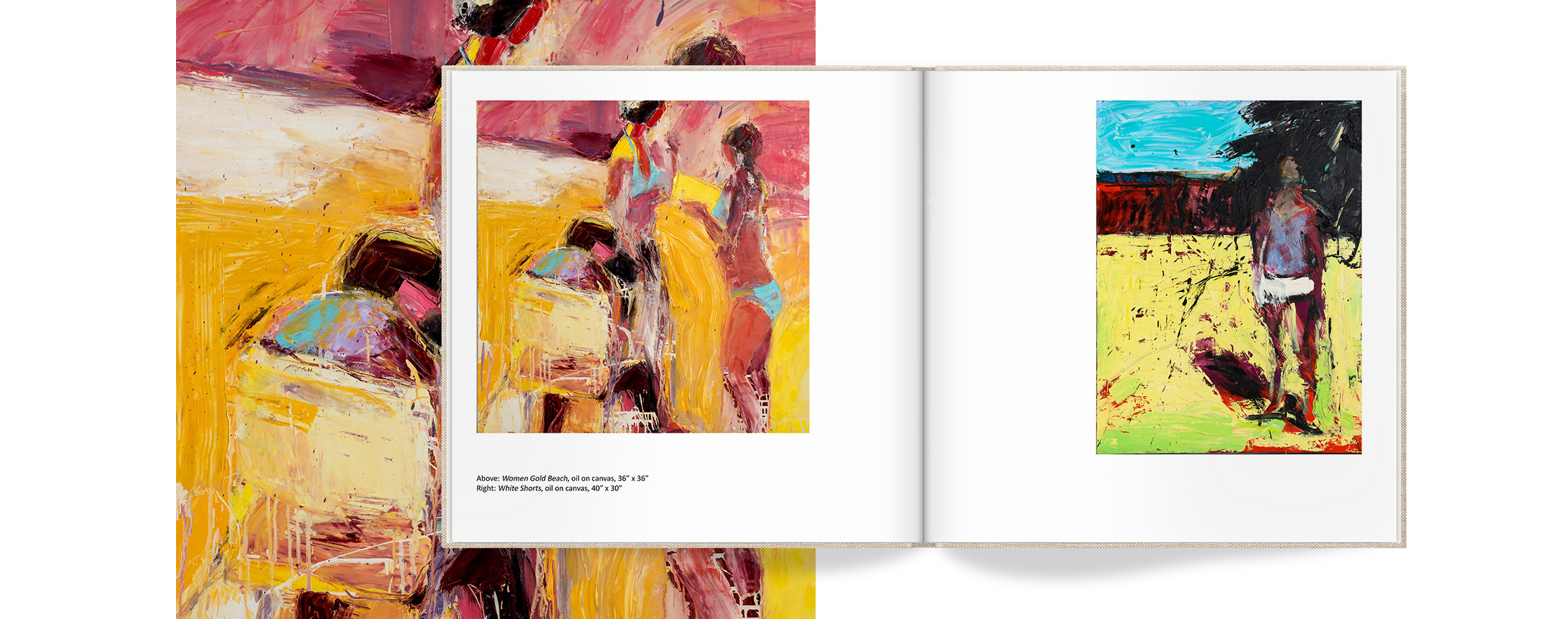 Photo book with art images.