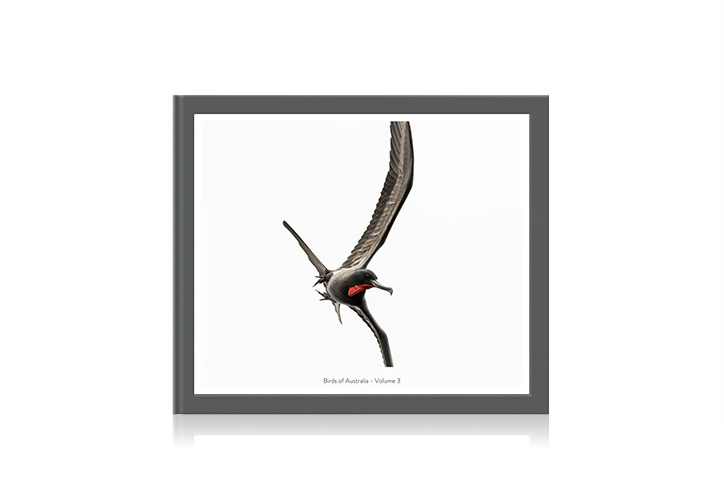 Álbum de fotos clásico con paisaje al carbón y un pájaro de Australia en la portada.