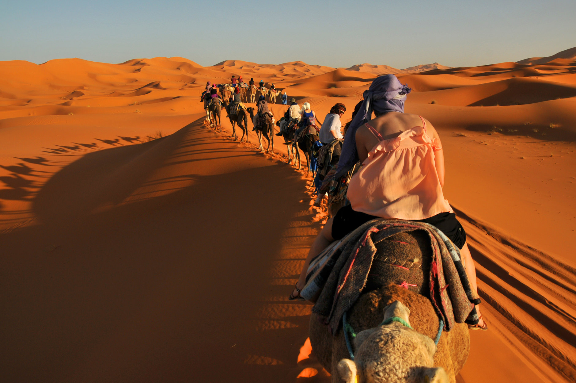 People on a camel safari in the desert.