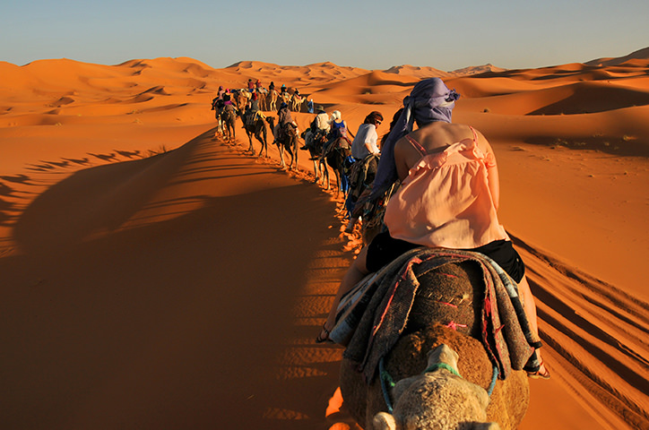 People riding camels through the desert.