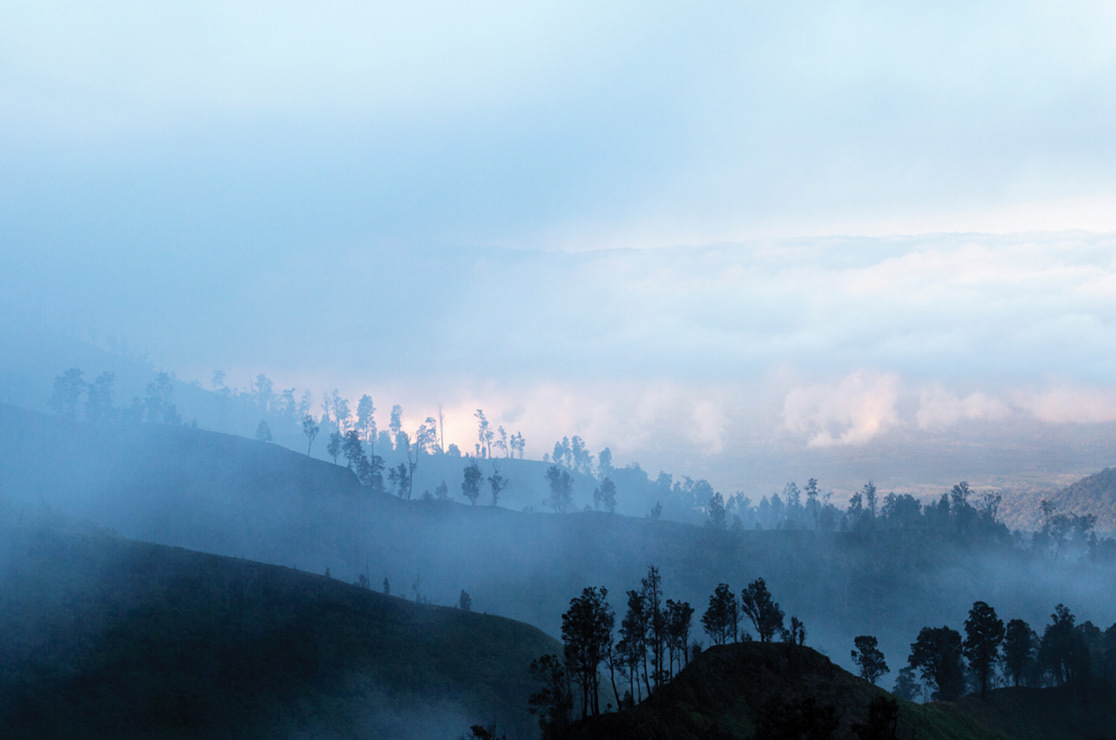 Misty hills and trees.