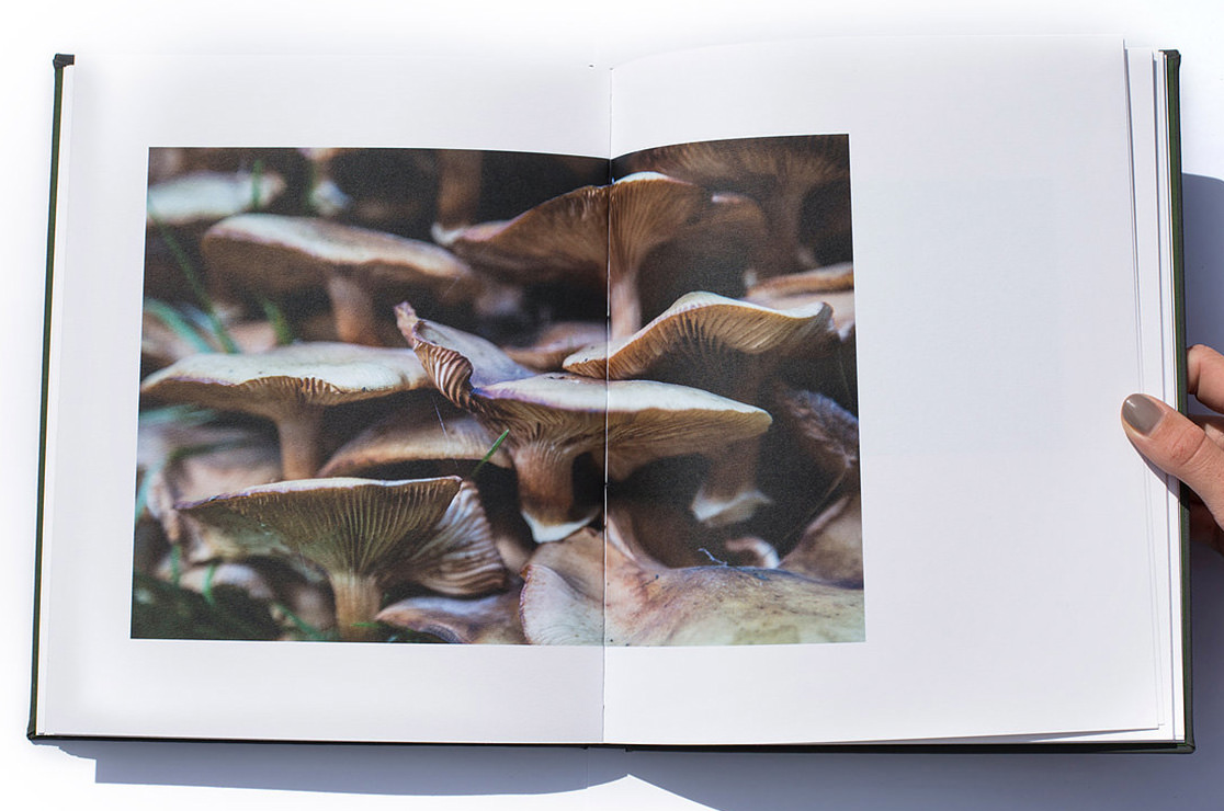 Photo book with photo of mushrooms