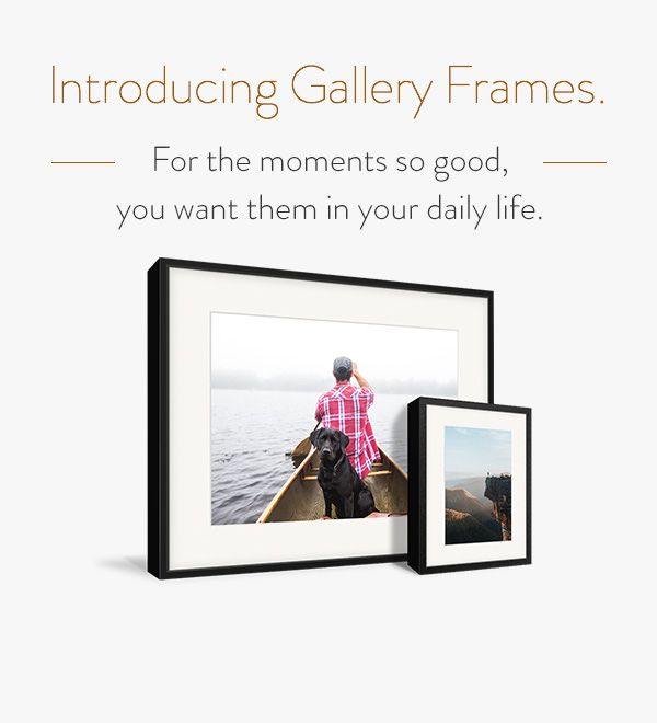 milk books high quality handcrafted photo books albums lifetime address books