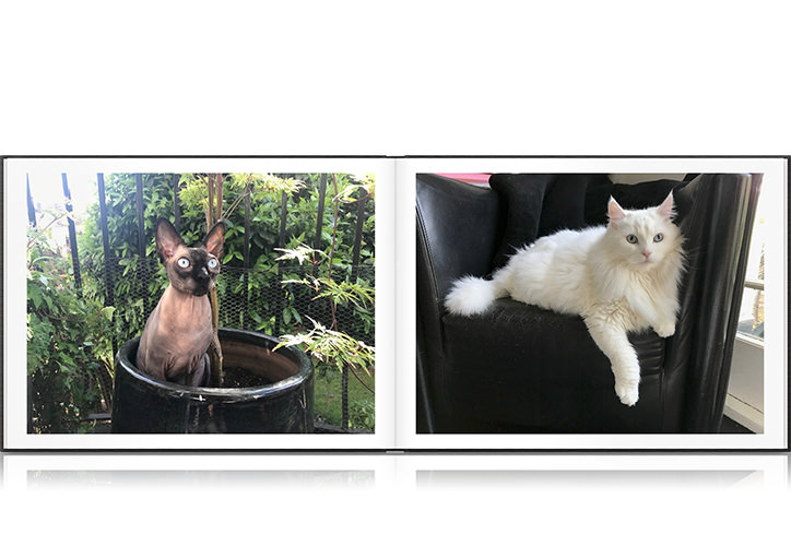 Photo Book showing photos of two cats, Stella and Alex