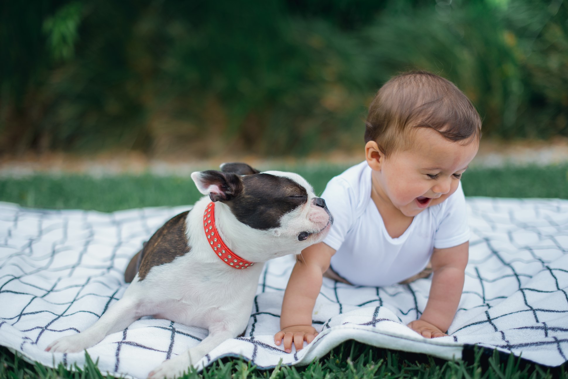 Baby and puppy on picnic blanket