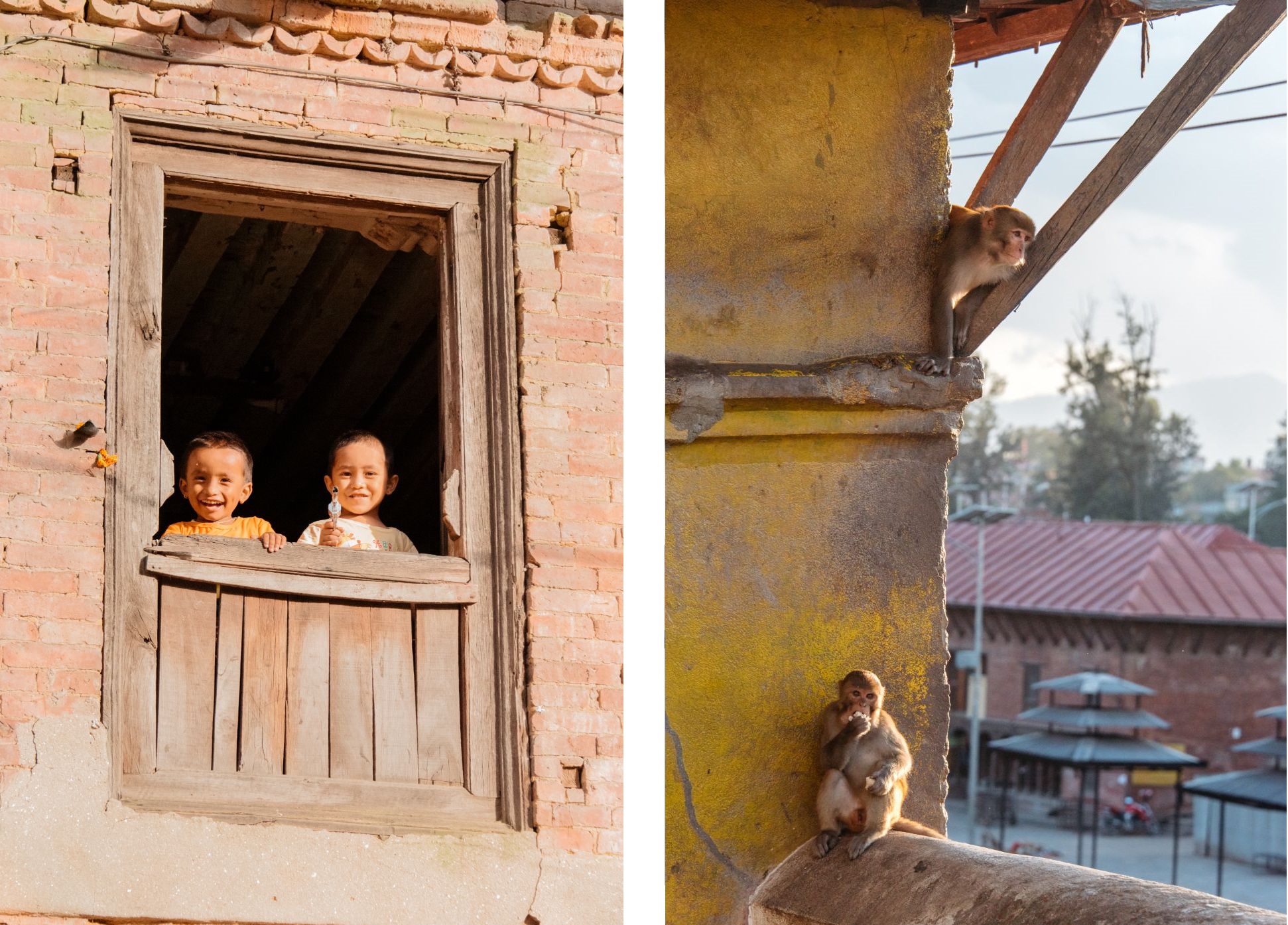 Two kids playing in a window (left), two monkeys in golden hour (right)