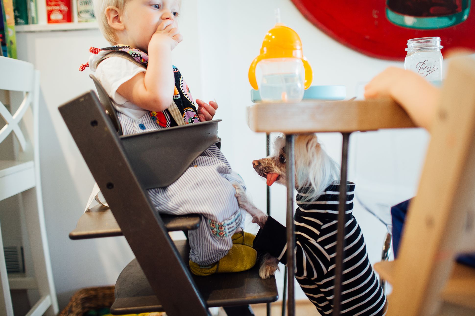 Toddler sitting at table with dog under table.