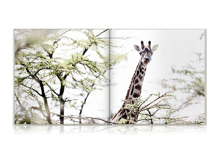 Quadratisches Reisefotobuch aufgeschlagen mit einem Foto einer Giraffe zwischen Bäumen.