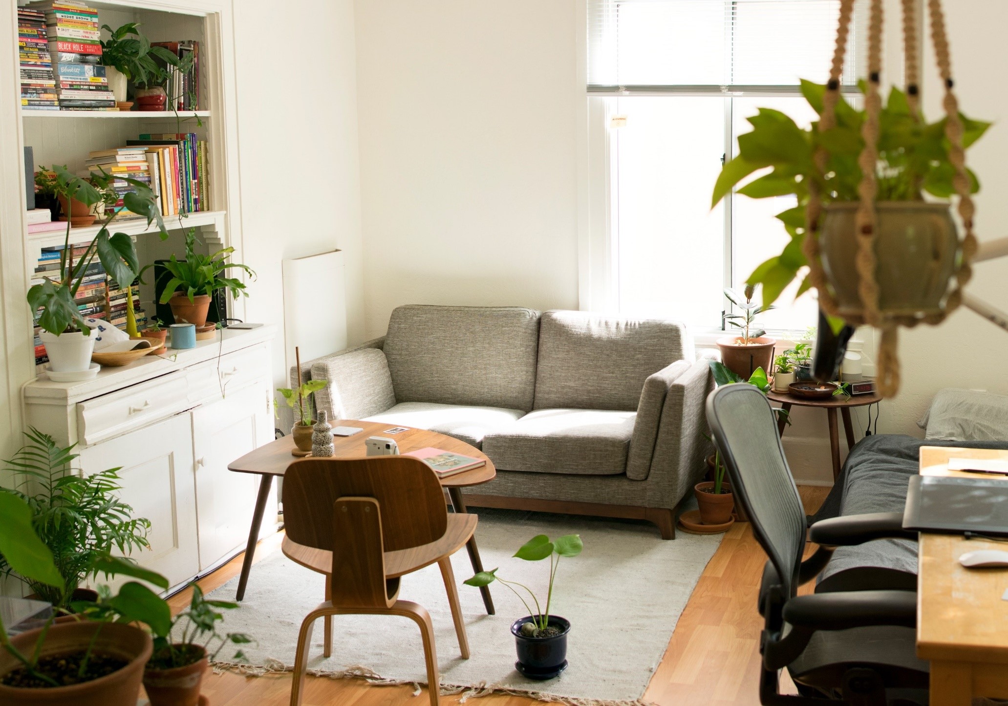 A home lounge with sofa, desk, small table and chair, shelving full of books to the left and green indoor plants everywhere.