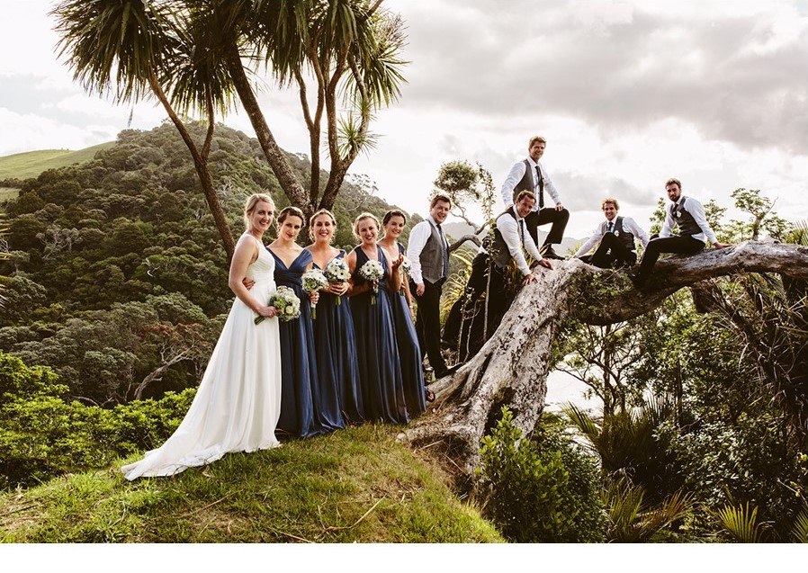 Bride, groom and wedding party posing in tree
