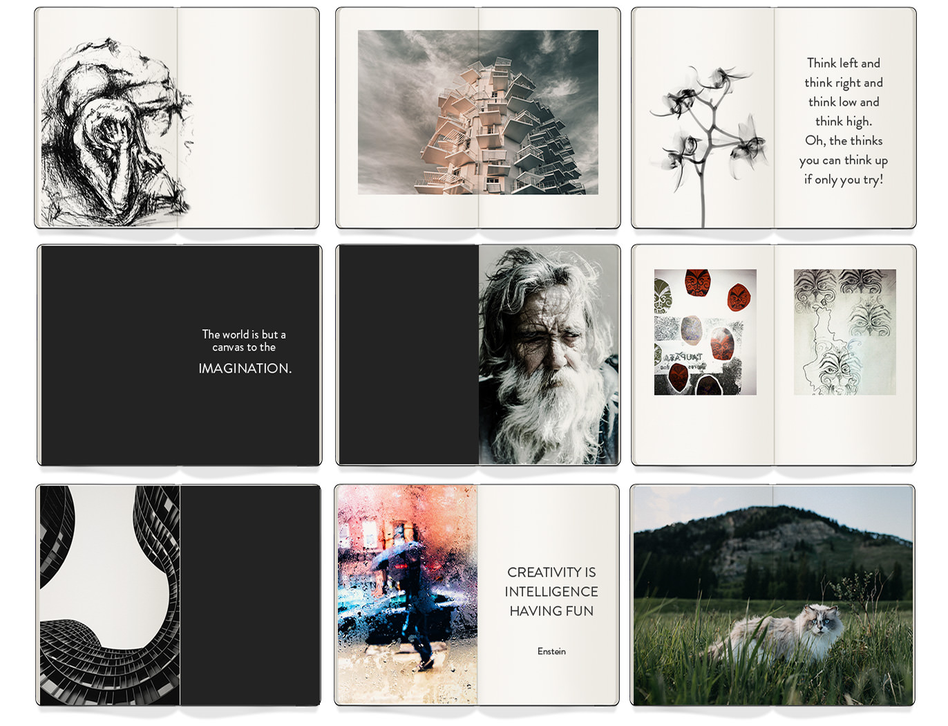 Birds eye view of open moleskine notebooks
