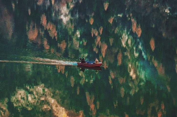 Boot fährt über ruhigen See, indem sich Bäume reflektieren.