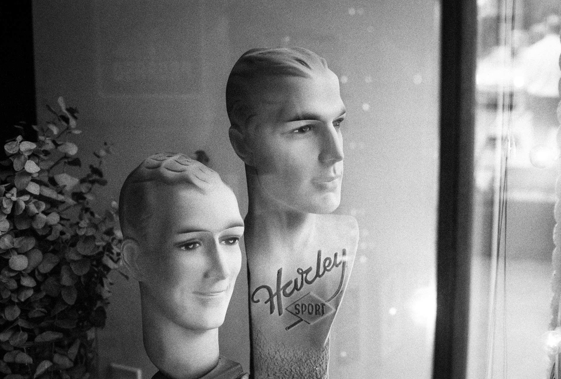 Two male mannequin heads in window