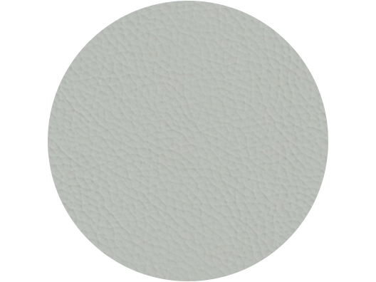 Pelle Premium - Grigio Argento.