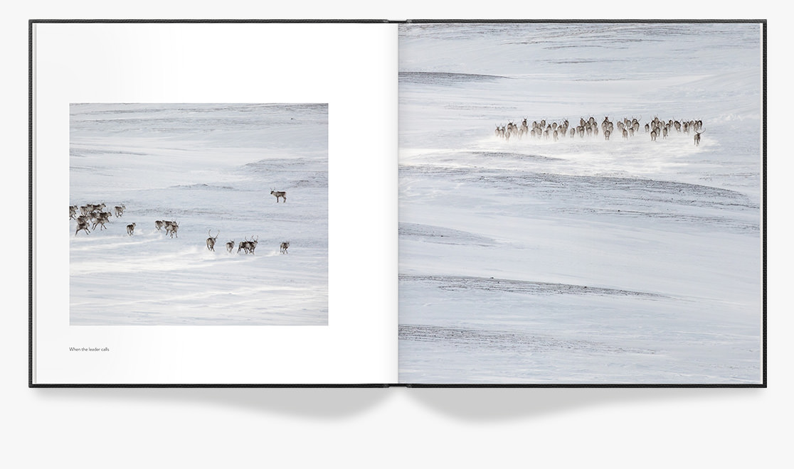 Open Photo Book showing photos of dogs in Iceland