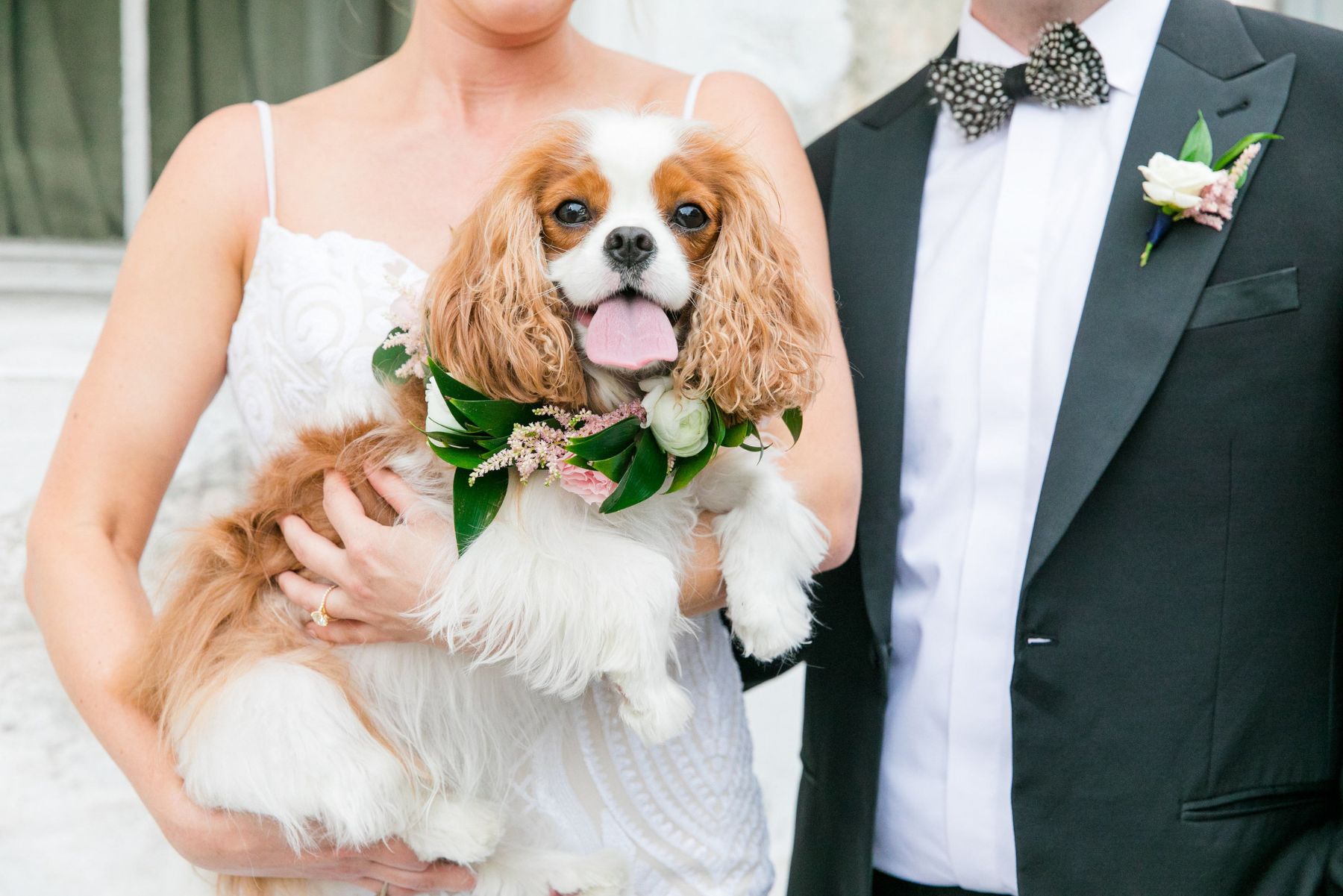 Bride holding dog