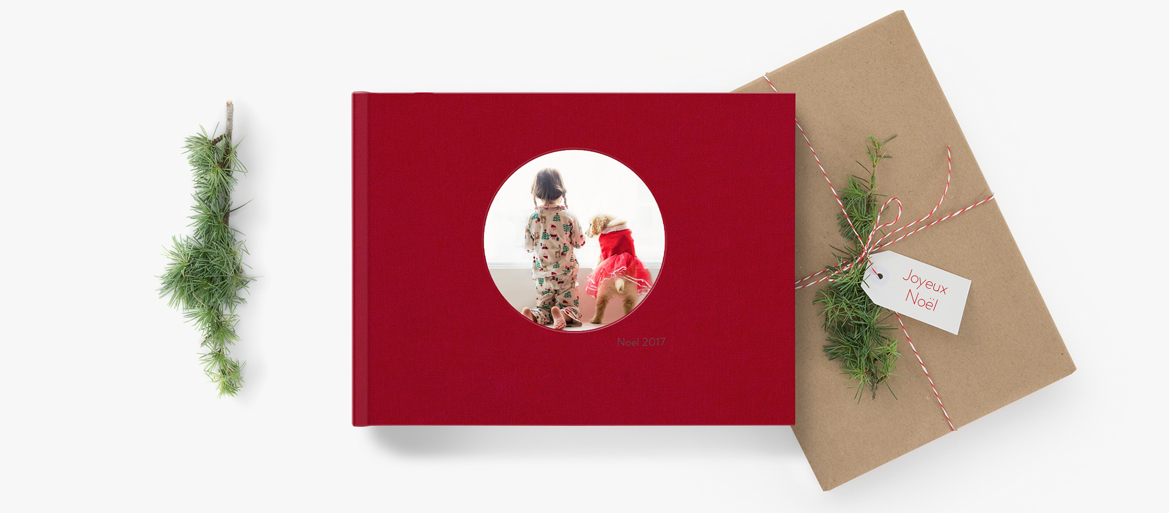 Pack livre photo de Noël
