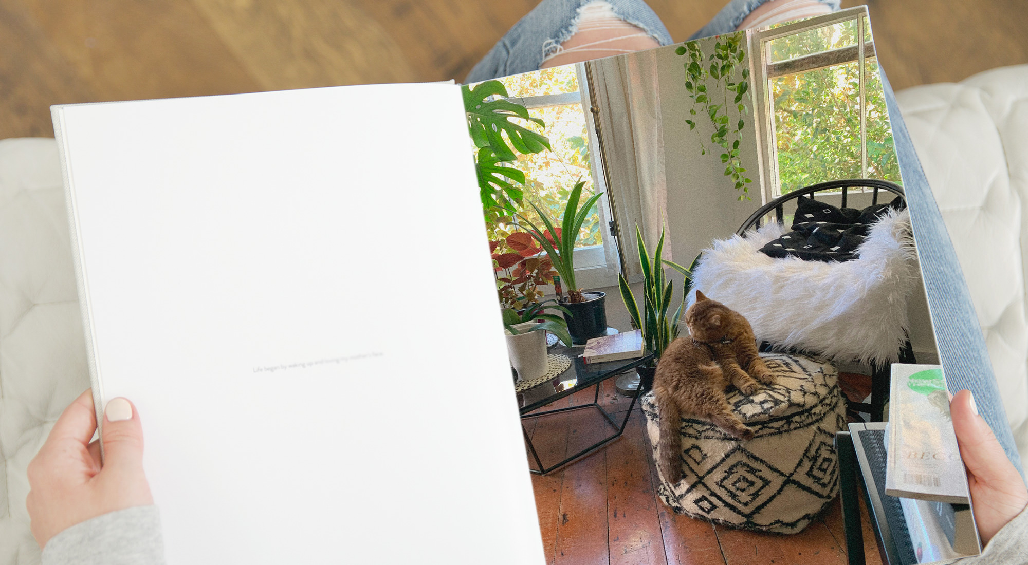 Open photo book with image of a cat.