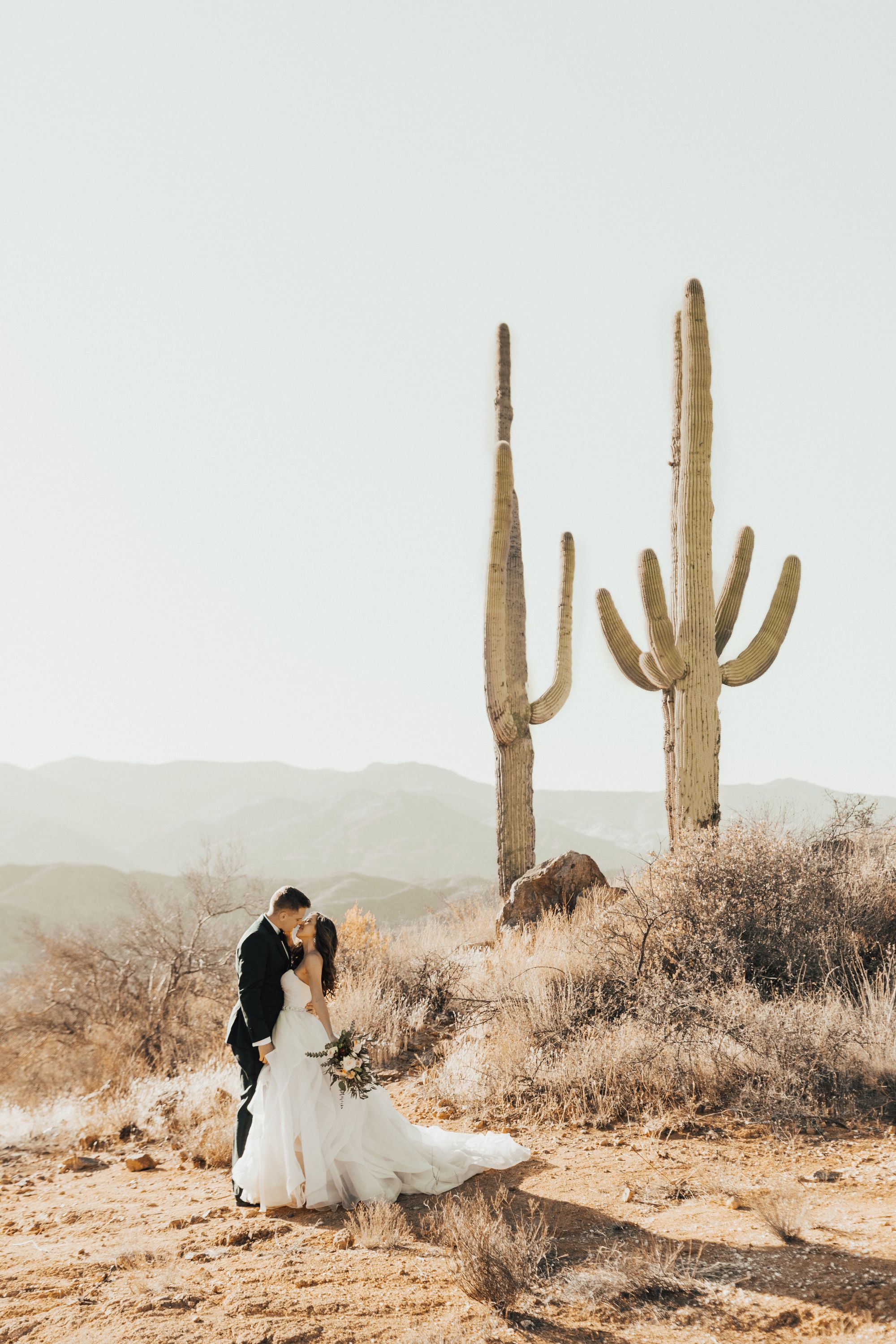 Newlywed bride and groom in desert setting.