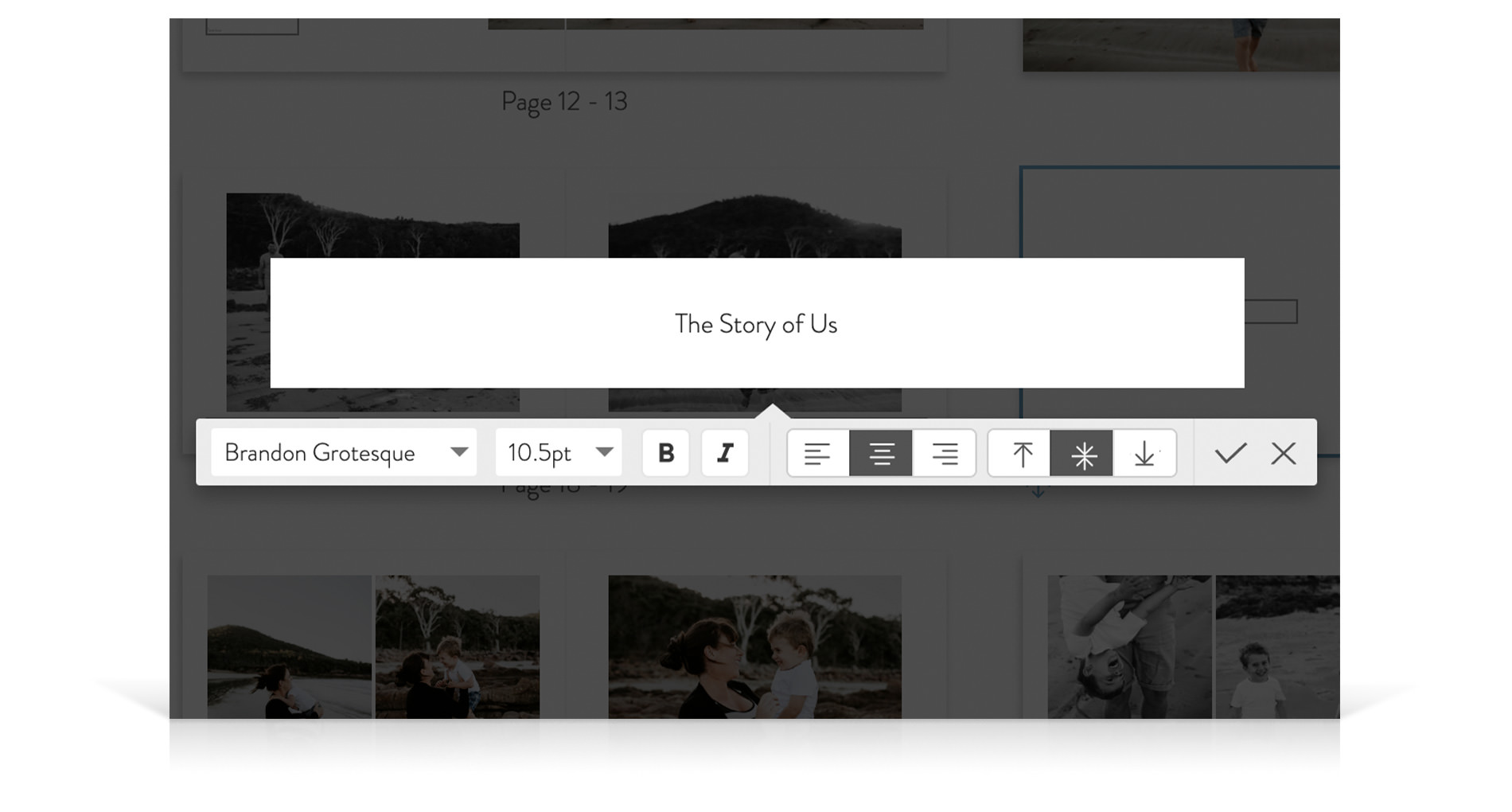 Screen of text box and text options in new MILK design studio