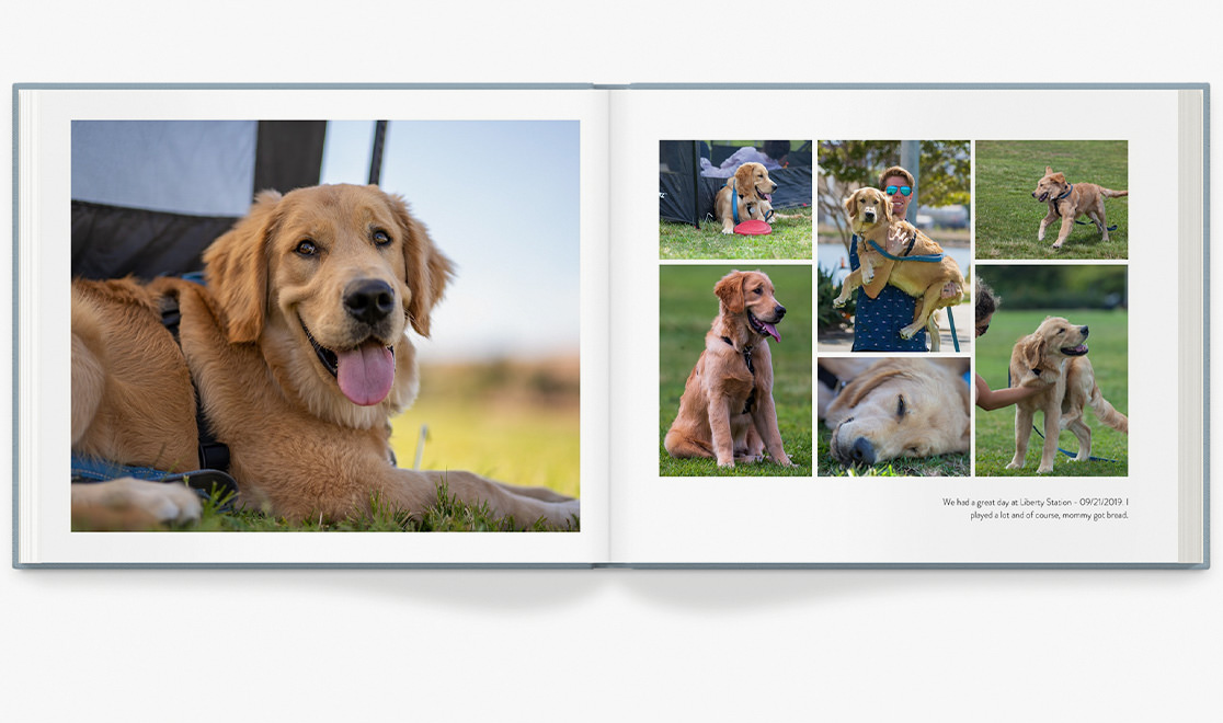 Open photo book showing pictures of dog