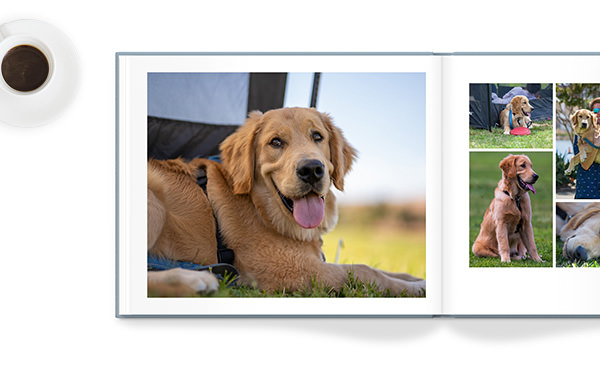Classic Photo Book with dog images.